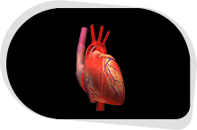 Unstable Angina  Cardiac Catheterization