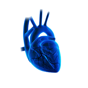 Coronary Angiography